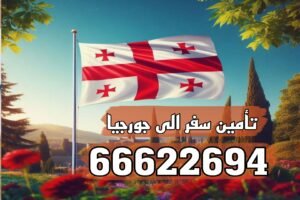 تأمين سفر إلى جورجيا